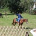 asparn10_050