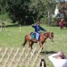 asparn10_051