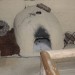 asparn10_135