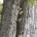 asparn10_180