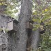 asparn10_181