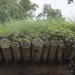 asparn10_186