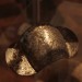 asparn10_205