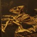 asparn10_226