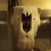 asparn10_232