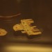 asparn10_235