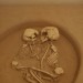 asparn10_240