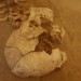 asparn10_248