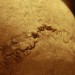 asparn10_250