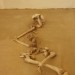 asparn10_251