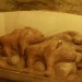 asparn10_253
