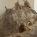 asparn10_255