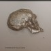 asparn10_265