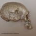 asparn10_266