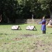 asparn10_284