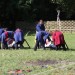 asparn10_308