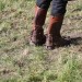 asparn10_320
