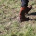 asparn10_321