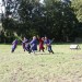 asparn10_457