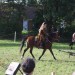asparn10_472