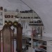 clam10_021
