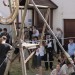 duernkrut_011