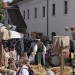 duernkrut_016