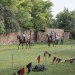 duernkrut_053