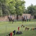 duernkrut_054