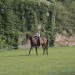 duernkrut_057