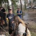 duernkrut_066