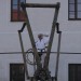 duernkrut_070