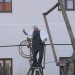 duernkrut_082