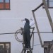 duernkrut_083