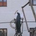 duernkrut_084