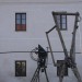 duernkrut_086
