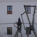 duernkrut_087