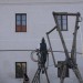 duernkrut_088
