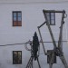 duernkrut_089