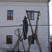 duernkrut_091