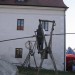 duernkrut_095