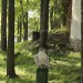 duernkrut_102