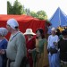 duernkrut_134
