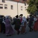 duernkrut_142
