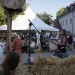 duernkrut_147
