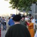 duernkrut_174