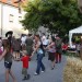 duernkrut_207