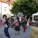 duernkrut_208