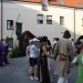 duernkrut_214