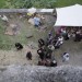 eggenburg_109